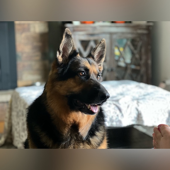 Meet your Posher, Deanna - Picture 13 of 16